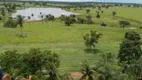 Foto 53 de Fazenda/Sítio com 3 Quartos à venda, 977000m² em Zona Rural, Nova Crixás