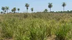 Foto 5 de Fazenda/Sítio à venda, 136m² em Setor Central, Cristalândia