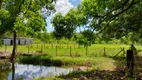 Foto 3 de Fazenda/Sítio com 2 Quartos à venda, 10000m² em Comunidade Urbana de Samambaia, Guarapari