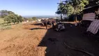 Foto 22 de Fazenda/Sítio com 2 Quartos à venda, 10m² em Zona Rural , Morrinhos