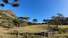 Foto 23 de Fazenda/Sítio à venda, 193600m² em Centro, Piranguçu