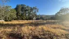 Foto 6 de Lote/Terreno à venda, 5000m² em Lagoa do Miguelão, Nova Lima