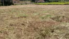 Foto 3 de Lote/Terreno com 1 Quarto à venda, 1000m² em Centro, São Roque