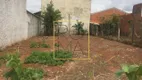 Foto 2 de Lote/Terreno à venda, 250m² em CARDEAL, Elias Fausto