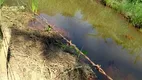 Foto 10 de Fazenda/Sítio com 2 Quartos à venda, 80000m² em Centro, Santana de Pirapama