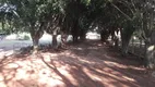 Foto 9 de Fazenda/Sítio com 3 Quartos à venda, 1750m² em Jundiaquara, Aracoiaba da Serra
