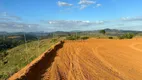 Foto 18 de Lote/Terreno à venda, 20000m² em Gordiano Guimaraes, Colatina