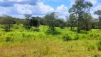 Foto 9 de Fazenda/Sítio à venda, 5500000m² em Zona Rural, Bonito de Minas