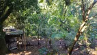 Foto 8 de Fazenda/Sítio com 3 Quartos à venda, 150m² em Chacaras Santo Antonio do Jardim, Jaguariúna