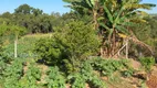 Foto 9 de Fazenda/Sítio com 3 Quartos à venda, 220m² em Area Rural de Limeira, Limeira