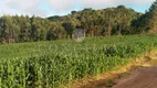 Foto 13 de Fazenda/Sítio à venda, 24000m² em Areia Branca dos Assis, Mandirituba