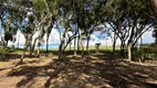 Foto 11 de Fazenda/Sítio à venda, 20000m² em Bateias de Baixo, Campo Alegre