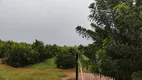 Foto 10 de Fazenda/Sítio com 2 Quartos à venda, 300m² em Agulha, Fernando Prestes