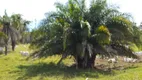 Foto 4 de Fazenda/Sítio com 3 Quartos à venda, 550m² em Zona Rural , Morrinhos