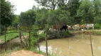 Foto 54 de Fazenda/Sítio com 6 Quartos à venda, 800m² em Vila Americana, Tatuí