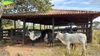 Foto 37 de Fazenda/Sítio com 3 Quartos à venda, 338800m² em Zona Rural, Bela Vista de Goiás
