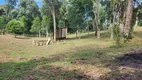 Foto 13 de Fazenda/Sítio com 1 Quarto à venda, 10001m² em Campestre dos Paulas, Mandirituba