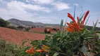 Foto 12 de Fazenda/Sítio com 2 Quartos à venda, 10000m² em Zona Rural, Ouro Fino
