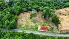 Foto 10 de Lote/Terreno à venda em Tarumã, Manaus