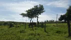 Foto 13 de Fazenda/Sítio com 3 Quartos à venda, 22500m² em Centro, Santo Antônio do Descoberto