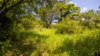 Foto 13 de Lote/Terreno à venda, 5000m² em Arroio da Manteiga, São Leopoldo