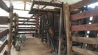 Foto 102 de Fazenda/Sítio com 3 Quartos à venda, 1452000m² em Zona Rural, Natividade da Serra