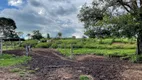 Foto 46 de Fazenda/Sítio com 4 Quartos à venda, 46000000m² em Centro, Professor Jamil