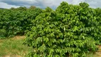 Foto 7 de Fazenda/Sítio com 3 Quartos à venda, 121000m² em Zona Rural, Monte Santo de Minas