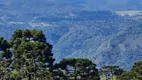 Foto 6 de Fazenda/Sítio à venda, 20000m² em Santa Tereza, Urubici