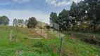 Foto 9 de Lote/Terreno para alugar, 5000m² em São Ciro, Caxias do Sul