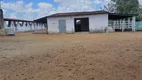 Foto 13 de Fazenda/Sítio com 3 Quartos à venda, 80000m² em Zona Rural, Macaíba