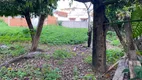 Foto 24 de Fazenda/Sítio com 3 Quartos à venda, 150m² em Centro, Aimorés