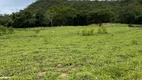 Foto 77 de Fazenda/Sítio com 2 Quartos à venda, 271000m² em Zona Rural, Santa Cruz de Goiás