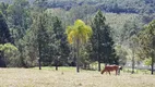 Foto 60 de Fazenda/Sítio com 3 Quartos à venda, 169400m² em Centro, Ibiúna