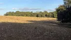 Foto 9 de Fazenda/Sítio com 10 Quartos à venda, 710000m² em , Perdizes