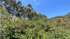 Foto 14 de Lote/Terreno à venda, 22400m² em Araras, Petrópolis