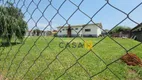 Foto 5 de Lote/Terreno à venda, 1900m² em Parque Residencial Triunfo, Nova Odessa