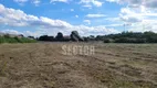 Foto 3 de Lote/Terreno para alugar, 10000m² em Colônia Murici, São José dos Pinhais