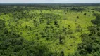 Foto 6 de Fazenda/Sítio com 2 Quartos à venda, 150m² em Centro, Piraquê