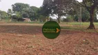 Foto 4 de Fazenda/Sítio à venda, 80000000m² em Zona Rural, Luciára