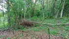 Foto 7 de Fazenda/Sítio com 1 Quarto à venda, 18270m² em Linha Avila, Gramado