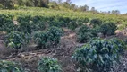 Foto 2 de Fazenda/Sítio com 2 Quartos à venda, 121000m² em Zona Rural, Monte Santo de Minas