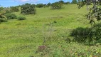 Foto 11 de Fazenda/Sítio com 2 Quartos à venda, 106000m² em Zona Rural, Monte Alegre