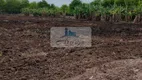 Foto 13 de Fazenda/Sítio com 5 Quartos à venda, 4000000m² em Setor Central, Paraíso do Tocantins