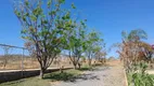 Foto 11 de Fazenda/Sítio com 5 Quartos à venda, 450000m² em Area Rural de Montes Claros, Montes Claros