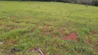 Foto 6 de Lote/Terreno à venda, 30000m² em Zona Rural, Desterro de Entre Rios