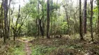 Foto 11 de Fazenda/Sítio à venda, 10000m² em Morro Azul, Almirante Tamandaré