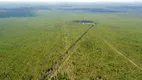 Foto 2 de Fazenda/Sítio com 3 Quartos à venda, 12000000m² em Zona Rural, Balsas