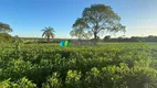 Foto 24 de Fazenda/Sítio com 1 Quarto à venda, 31m² em Zona Rural, Paraopeba