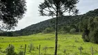Foto 3 de Fazenda/Sítio à venda, 78000m² em Vacas Gordas, Urubici